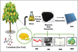 Optimization, imaging and LHE analysis of magnesium oxide nanoparticles synthesized with carambola extract as natural dye sensitizer