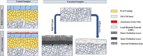 Enhancing corrosion resistance of T91 F/M steel in liquid lead-bismuth (LBE) by slurry FeAl coating