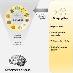 Repurposing doxycycline for Alzheimer's treatment: Challenges from a nano-based drug delivery perspective