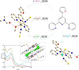 Structural and theoretical insights into the influence of thiocyanate ligands on divalent metal complexes with terpyridine derivatives