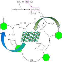 Using novel open-framework copper borovanadate as an effective catalyst in the conversion of cyclohexanol to cyclohexanone