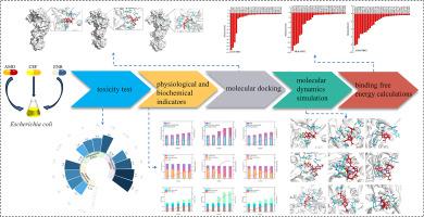 Probing the interaction mechanisms between three β-lactam antibiotics and penicillin-binding proteins of Escherichia coli by molecular dynamics simulations