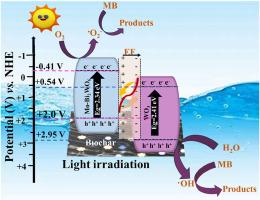 Novel S-scheme derived Mo–Bi2WO6/WO3/Biochar composite for photocatalytic removal of Methylene Blue dye