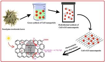 A sustainable strategy to improve photocatalytic degradation properties of CuO and CuO-rGO nanocomposite using Eucalyptus leaf extract