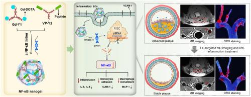 Endothelium-targeted NF-κB siRNA nanogel for magnetic resonance imaging and visualized-anti-inflammation treatment of atherosclerosis