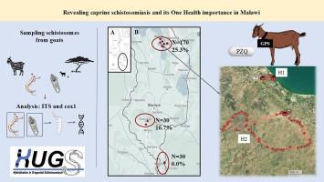 Revealing caprine schistosomiasis and its One Health importance in Malawi: A molecular epidemiological investigation augmented with a praziquantel treatment and GPS animal tracking pilot sub-study