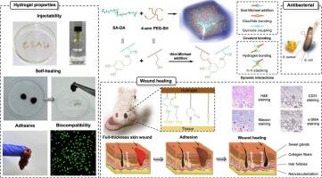 Injectable self-healing alginate/PEG hydrogels cross-linked via thiol-Michael addition bonds for hemostasis and wound healing