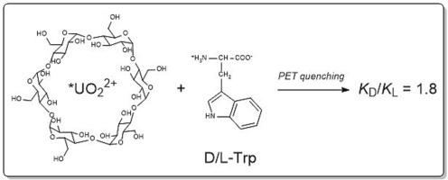 Chiral discrimination during photoinduced electron transfer from L/D-tryptophan to electron-excited uranyl ion as a part of UO22+ ⊂ α–CD inclusion complex