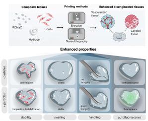 Cell driven elastomeric particle packing in composite bioinks for engineering and implantation of stable 3D printed structures