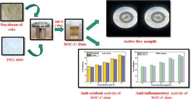 Exploration of value-added soybean oil cake based carbon quantum dots for in-vitro biomedical applications