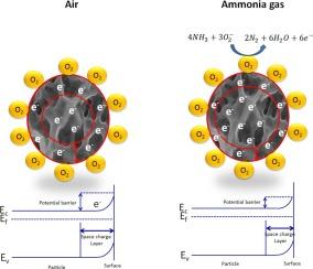 Remarkable NH3 gas sensing performance of spray deposited Tb doped WO3 thin films at room temperature