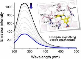 Exploring nitro-Tröger’s bases for ct-DNA and HSA sensing: An experimental and theoretical study