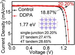 Efficient 1.77 eV-bandgap perovskite and all-perovskite tandem solar cells enabled by long-alkyl phosphonic acid†