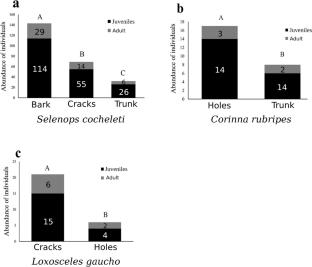 Fine-scale habitat selection in tree-dwelling spiders: an experimental approach