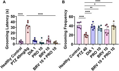 Probiotics by Modulating Gut–Brain Axis Together With Brivaracetam Mitigate Seizure Progression, Behavioral Incongruities, and Prevented Neurodegeneration in Pentylenetetrazole-Kindled Mice