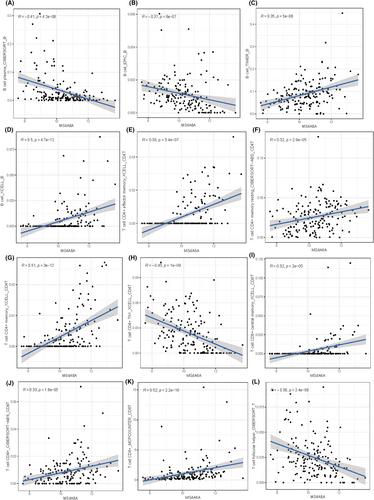 Exploring the prognostic value and potential therapeutic strategies of MS4A6A in glioblastoma: A comprehensive analysis of single-cell and multi-omics data