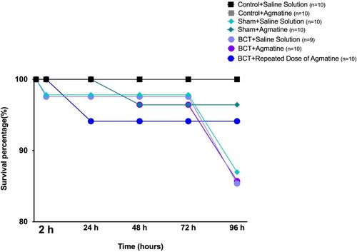 Agmatine: An Emerging Approach for Neuroprotection in Recurrent Ischemic Stroke Events in a Murine Model