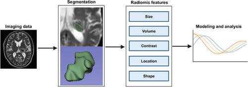 Machine learning-based radiomics in neurodegenerative and cerebrovascular disease