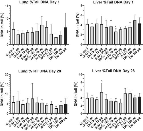 Absence of genotoxicity following pulmonary exposure to metal oxides of copper, tin, aluminum, zinc, and titanium in mice