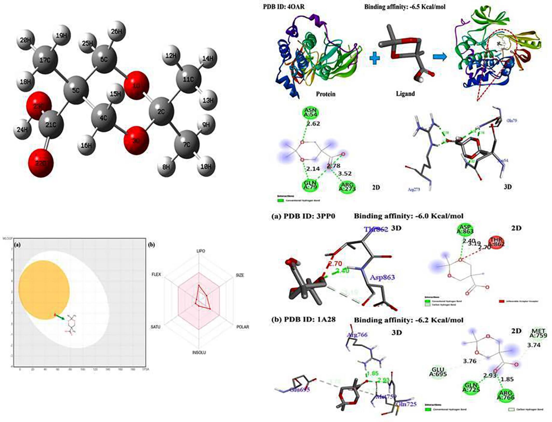 DFT Computation, Spectroscopic, Hirshfeld Surface, Docking and Topological Analysis on 2,2,5-Trimethyl-1,3-Dioxane-5-Carboxylic Acid as Potent Anti-Cancer Agent