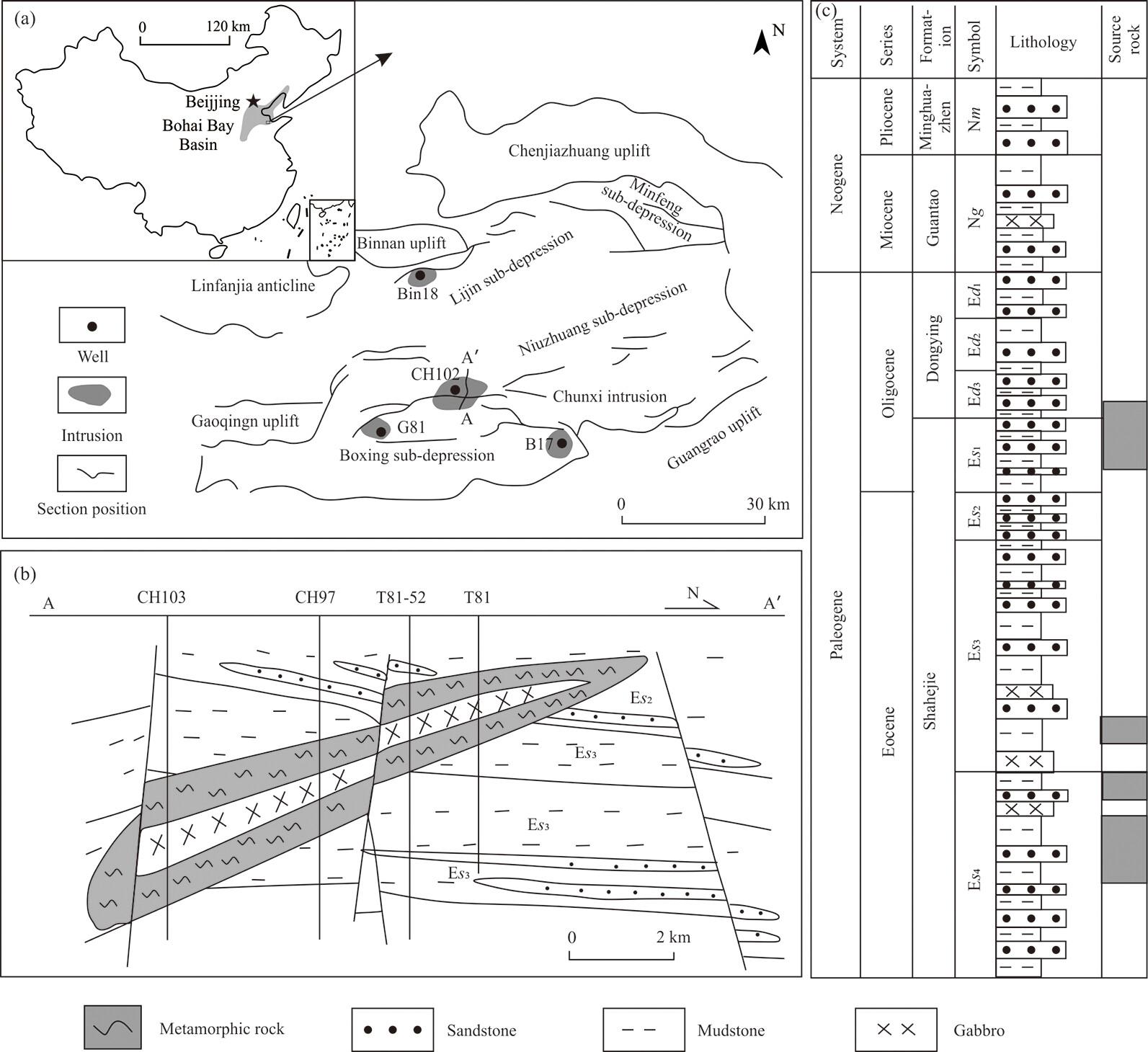 Influence of Magmatic Intrusion on Abnormal Hydrocarbon Generation and Expulsion of Source Rock: A Case Study of the Dongying Sag, Bohai Bay Basin