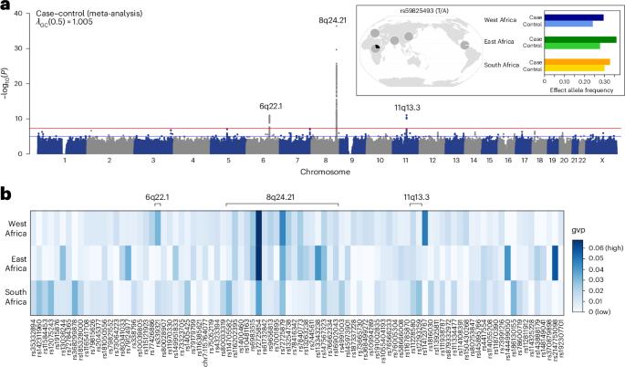 Pan-African analysis identifies genetic differences in prostate cancer risk