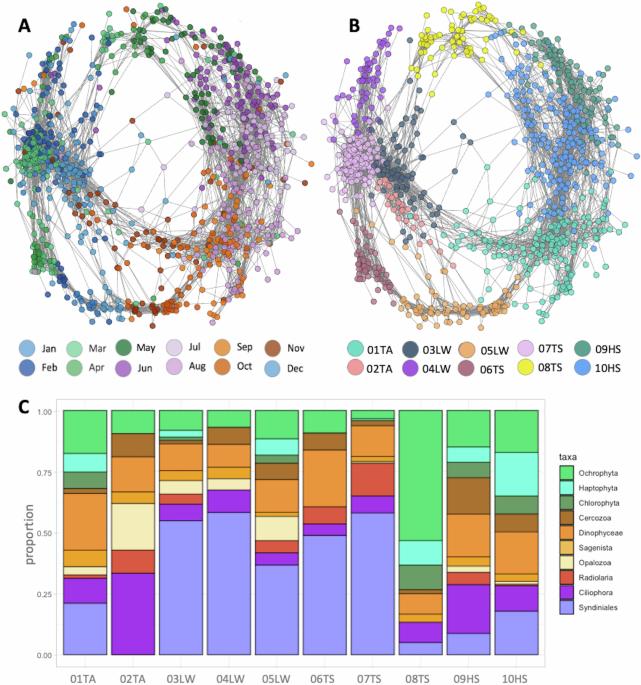 Beyond blooms: the winter ecosystem reset determines microeukaryotic community dynamics in the Fram Strait