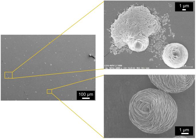 The precipitate structure of copper-based antibacterial and antiviral agents enhances their longevity for kitchen use