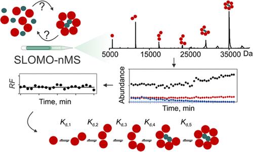 Deciphering Pathways and Thermodynamics of Protein Assembly Using Native Mass Spectrometry