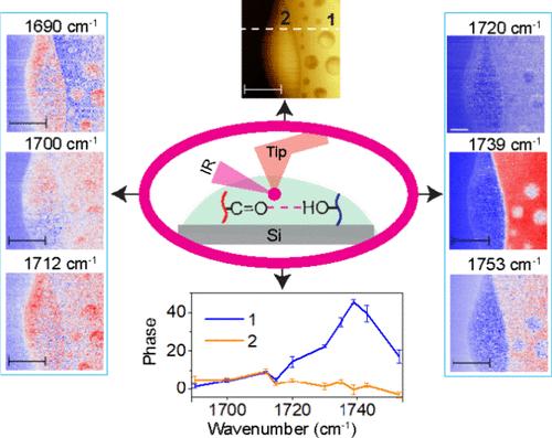 Spatial Variations in Hydrogen Bonding Interaction within Polymer Blends Revealed by Infrared Nanoimaging