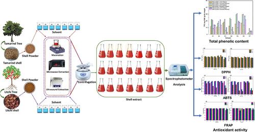 A Comparative Study on the Sustainable Management of Phenolic Content and Antioxidant Residues from Waste Tamarind and Litchi Shells through Optimized Extraction Methods