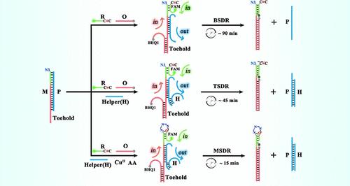 Efficient Multidriven Strand Displacement Reaction for Biosensing
