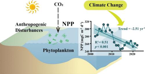Climate Change Drove the Decline in Yangtze Estuary Net Primary Production Over the Past Two Decades