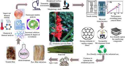 Agro-Waste from Gladiolus hybrida Plants: Effects of Alkaline Processing on a New Natural Cellulosic Fiber Derived for Polymer Composites