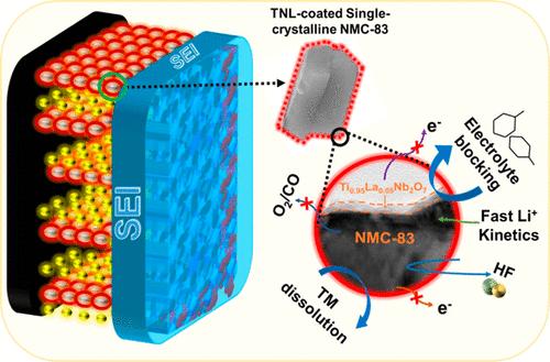 Designing Hierarchical Assembly of Lanthanum-Doped TiNb2O7 for Single-Crystalline Cathodes: An Approach to Improving Cyclability at High Rates and Voltages