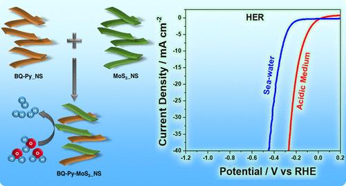 Poly(benzoquinone-pyrrole)-MoS2─A Class of 2D Organic–Inorganic Hybrid Layered Catalysts for Electrochemical Hydrogen Generation