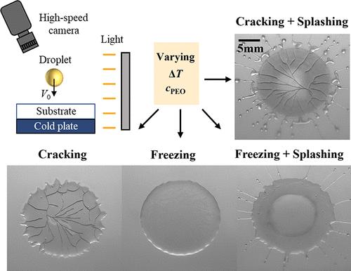Frozen Patterns in Viscoelastic Droplets Impacting on a Subcooled Surface