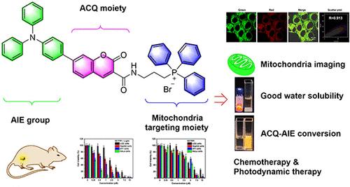 Coumarin-Based ACQ-AIE Conversion Photosensitizer for Mitochondrial Imaging and Synergistic Cancer Therapy