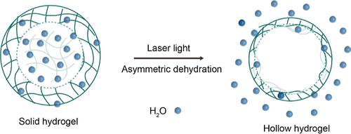 Processing Solid Hydrogels into Hollow Structures by Infrared Laser Light for Highly-Efficient Drug Loading and Controlled Release