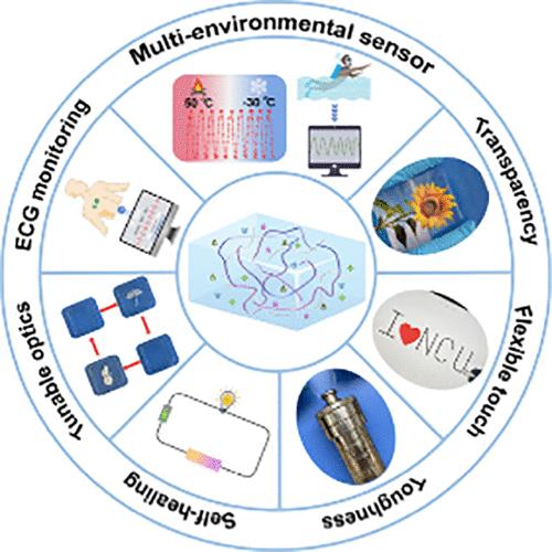 Multiperformance Fully Physically Cross-Linked Organogel for All-Climate Wireless Human Motion Sensors and Water Writing Paper