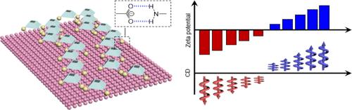 Macrocycle-Nanoclay Coassembly with Modulable Supramolecular Chirality Indicated by Surface Charges