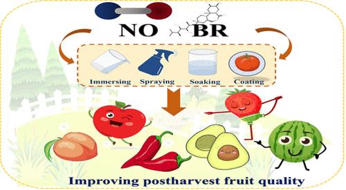 Roles of Nitric Oxide and Brassinosteroid in Improving Fruit Quality during Postharvest: Potential Regulators?