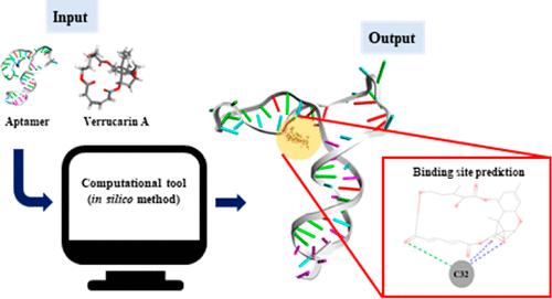 In Silico Analysis of Binding Sites for a Novel ssDNA Aptamer Specific to Verrucarin A and Detection in Dust Extracts