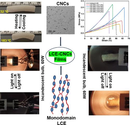 Nanocellulose Incorporated Liquid Crystal Elastomers as Soft Actuators