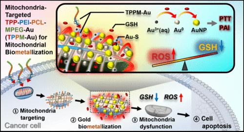 Mitochondria-Targeted Gold Biometallization for Photoacoustically Visualized Photothermal Cancer Therapy