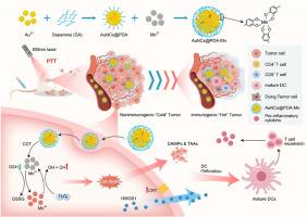 Metal-phenolic-network-coated gold nanoclusters for enhanced photothermal/chemodynamic/immunogenic cancer therapy