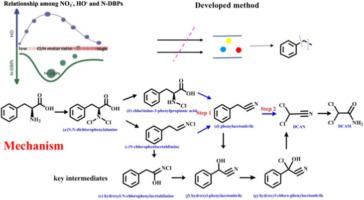 Wane-and-wax mechanism of nitrogenous disinfection byproducts with constant Cl/N peak under UV/chlorine treatment: Implication for new drinking water disinfection strategy