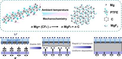 Hybrid conductive-lithophilic-fluoride triple protection interface engineering: Dendrite-free reverse lithium deposition for high-performance lithium metal batteries