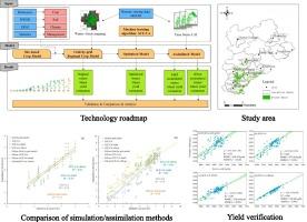 Integrating remote sensing assimilation and SCE-UA to construct a grid-by-grid spatialized crop model can dramatically improve winter wheat yield estimate accuracy