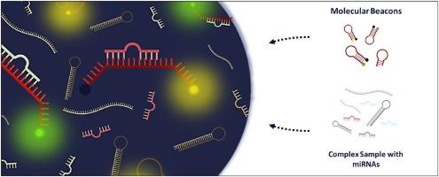 Biophysical characterization of microRNA mixtures based on Molecular Beacons